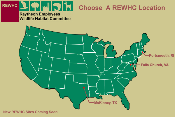 raytheon, wildlife habitat committee, environment, wildlife management